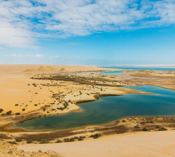Fayoum Day Tour From Cairo